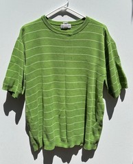 Covington Men Size M Classic Green Casual Knit Short Sleeve Shirt Stripes