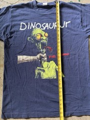 Vintage 1990s Dinosaur Jr Feel The Pain T Shirt Size XL On Fruit Of The Loom Tag