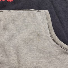 VINTAGE 90s Everlast Crop Top Long Sleeve Boxing Sweatshirt Size XL Athletics