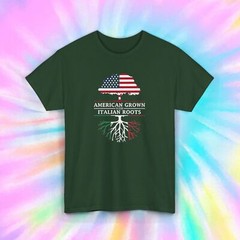 American Italian Roots Shirt | Patriotic Italian Heritage Flag Tee | Family Gift