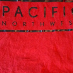 Aéropostale Men’s Single Stitch Pacific Northwest Nature Graphic Tee Size L
