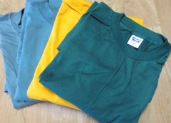 Men Fruit of The Loom Murina Other T-Shirts 2XL 6 Pc 6 Color 100 Cotton & 50/50