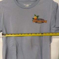 Disney Cruise Line Castaway Cay Mens T-Shirt Size M Blue Mickey Mouse Cruising