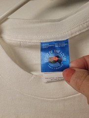 Vtg Fruit Of The Loom Chicago Illinois T Shirt Image Large