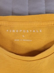Aeropostale Men’s Large Yellow Graphic T-Shirt Original Brand Mountain Crew Neck