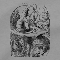 Alice In Wonderland T Shirt Lewis Carroll John Tenniel Book Illustration DVD Tee