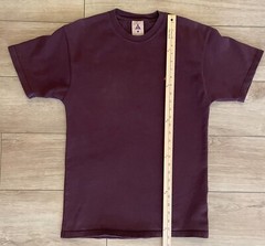 Nike NRG ACG Embroidered Lungs Tee-Heavyweight Cotton-Men’s S-Deep Burgandy