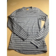 Icebreaker Merino Bodyfit 200 Mens Small Grey Striped Long Sleeve Base Layer Top