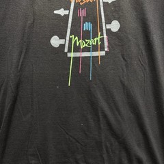 Vintage 90s Y2K Mostly Mozart Art Tee Shirt Mens Medium Unique Artist Composer