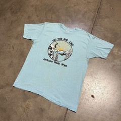 Vintage 80s Jackson Hole Wyoming T Shirt Men M Blue Ski Outdoor Nature Art USA
