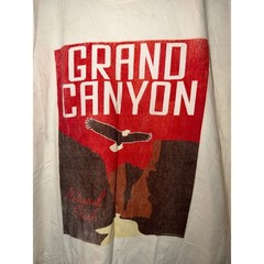 Goodthreads Mens Grand Canyon National Park Graphic T-Shirt Cream Short Sleeve