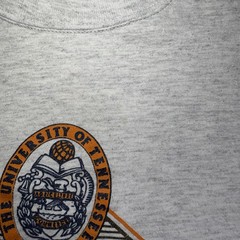 Vtg 90s Tennessee Volunteers T Shirt L Russell Athletic Back Print Distressed