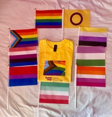 LGBTQ+ T-Shirt (Small) + 9 Pride Flags Bundle