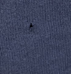 Lacoste Blue Large T Shirt 3D-Printed Graphic Crocodile Logo