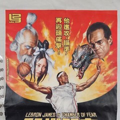 Vintage Nike Y2K LeBron James Shirt Mens 2XL White Chamber of Fear Kung-Fu 2004