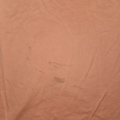 Patagonia P-6 Logo Organic Cotton Tee | Large | Desert Orange Sustainable Flaw