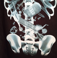 Delta Pro Weight X-RAY T-SHIRT Adult 2X, 100% Preshrunk Cotton, Black