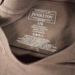 Pendleton Men’s Chest Logo Cotton Crewneck T-Shirt Gorpcore Brown Earth Tone L