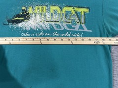 Arctic Cat Wildcat Shirt Large Teal Vintage Distressed Stain Single Stitch 90s