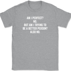 Am I Perfect No T-Shirt Tee Funny Sarcastic Humor Novelty Gift