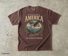 America 250th Anniversary 90s Graphic Style Comfort Colors Tshirt FREESHIP