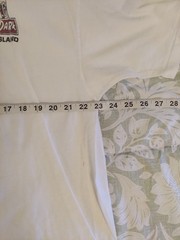 Jurassic Dark Beer Men’s XXL T-Rex Dinosaur Catalina Island Graphic White Tee