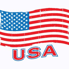 USA Flag T Shirt You Choose Style, Size, Color 10632