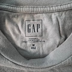 GAP Mens Standard T Shirt Medium Taupe Grey 100% Organic Cotton Pocket Tee