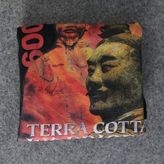 Terracotta Warriors Army T Shirt M VTG 2009 Houston Museum China Emperor Art Tee