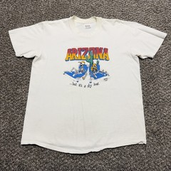 Vintage Arizona T-shirt Size XL White Stedman 90s Dry Heat – Distressed