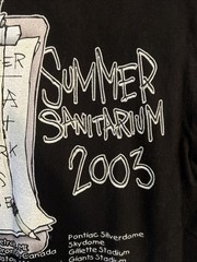 Metallica 2003 Summer Sanitarium Tour T-Shirt Vintage Y2K, Black, Size M