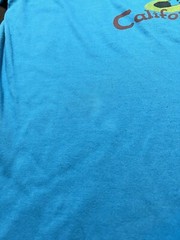Vintage California Raisins 2-Sided T-Shirt, Blue/Turqouise, Size: XXL (Fits XL)