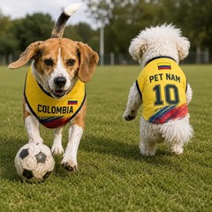 Custom Colom Pet Jersey, Personalized Soccer Outfit for Dogs Cats, Colombia S