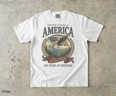 America 250th Anniversary 90s Graphic Style Comfort Colors Tshirt FREESHIP