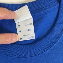 Mens WWTD? T-Shirt Blue Size M WHAT WOULD TIGER DO? Golf Tiger Woods NEW RARE