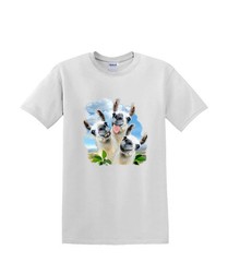 T-shirt small to 3xL – LLAMA SELFIE funny animal – adult humor