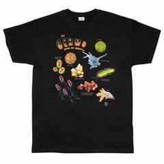 Wild Cotton GERMS Know the Enemy 2XL Double Sided T Shirt Science Microbiology