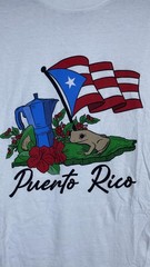 Gildan Shirt Mens XL White Puerto Rico Flag Coqui Graphic Tee T-Shirt Travel