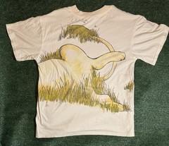 Vintage Lion Wrap Around Shirt AOP Nature Art Promo Gametracker Botswana RARE