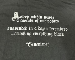 Official VELVET CACOON GENEVIEVE Black Metal Shirt Import Fmp666 DSP -NOS / NEW