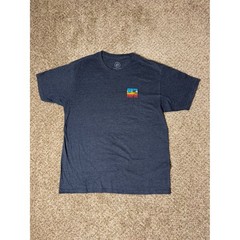 Hang Ten Mens Large Blue Heather Retro Sunset Palm Tree Graphic T-Shirt Surf Tee