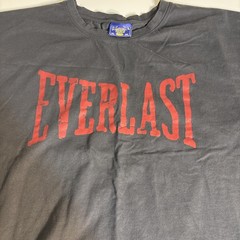 Coney Island Picnic x Everlast Faded Gray Cropped Boxy Graphic T-Shirt Mens 2XL