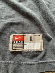 Nike Team Men’s Gray Cotton Knit Organ Ducks Logo T-Shirt L