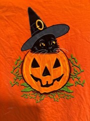 Halloween Kitty Graphic Tee Black Cat in Pumpkin Orange Shirt Sz.M