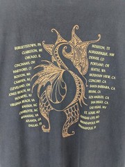 Remake Stevie Nicks Tour t-shirt, 2 sided shirt, gift for fan, unisex shirt