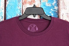Men’s Lee Iggy Pop Graphic Tee Regular Fit Crew Neck 2XLARGE Fig NEW