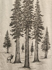 Redwood National Park Wild Tribute Shirt Slug Tree Short Sleeve Outdoor Uni Sm