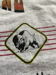 Vtg Swimming Competition T Shirt Eastern zone Buffalo NY 90s Y2K 2000 Star Swim