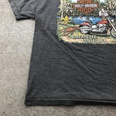 Harley-Davidson Shirt Mens XL Gray Cajun H-D Lafayette Louisiana Dealer Graphic