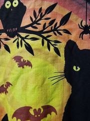 Halloween Black Cat Pumpkin Bats Owls Graphic Shirt Mens XL NEW